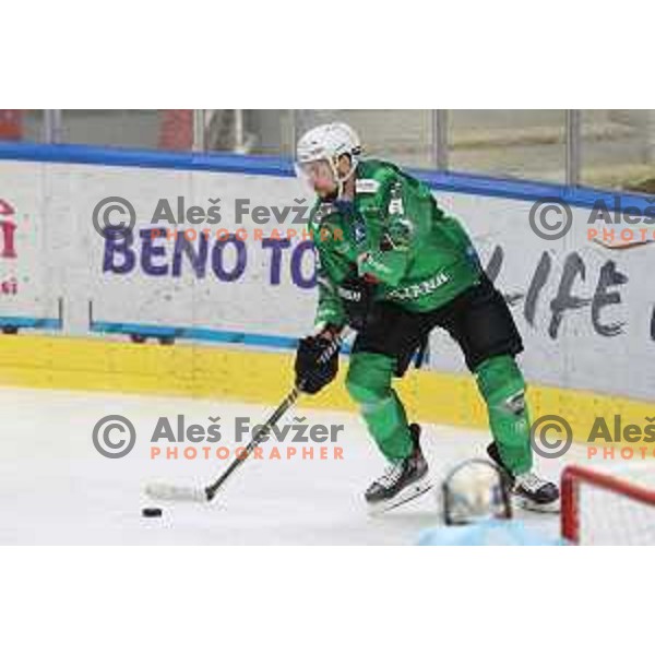 Murphy in action during Slovenian Championship regular season match between SZ Olimpija and SIJ Acroni Jesenice in Ljubljana, Slovenia on November 23, 2021