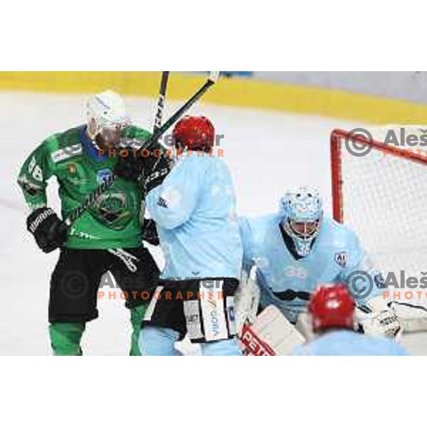 Miha Zajc in action during Slovenian Championship regular season match between SZ Olimpija and SIJ Acroni Jesenice in Ljubljana, Slovenia on November 23, 2021