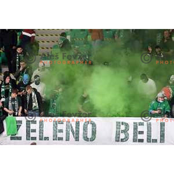 Fans of SZ Olimpija in action during Slovenian Championship regular season match between SZ Olimpija and SIJ Acroni Jesenice in Ljubljana, Slovenia on November 23, 2021