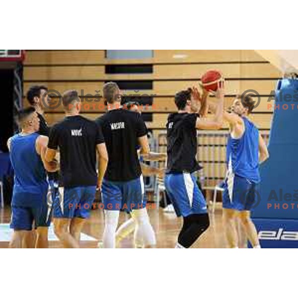 Slovenia National team practice session in Bonifika hall, Koper, Slovenia on November 22, 2021