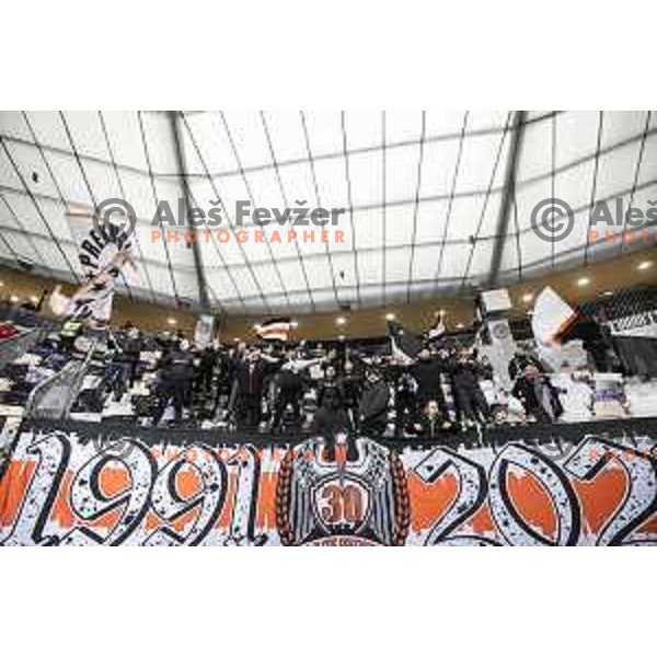 Black Gringos during UEFA Europa Conference League football match between NS Mura and Tottenham Hotspur in Ljudski vrt, Maribor, Slovenia on November 25, 2021. Photo: Jure Banfi/www.alesfevzer.com