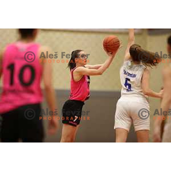 in action during 1.SKL Women basketball match between Triglav and Cinkarna Celje in Kranj, Slovenia on December 4, 2021