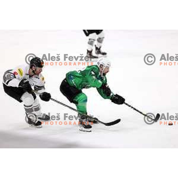 of SZ Olimpija in action during IceHL match between SZ Olimpija and Dornbirn in Ljubljana, Slovenia on December 4, 2021