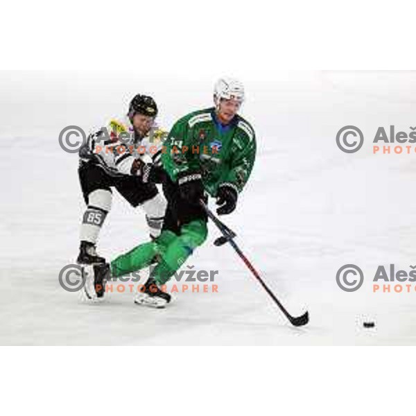 Aljosa Crnovic of SZ Olimpija in action during IceHL match between SZ Olimpija and Dornbirn in Ljubljana, Slovenia on December 4, 2021 