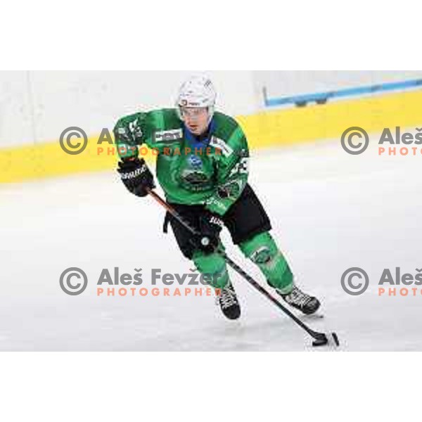 of SZ Olimpija in action during IceHL match between SZ Olimpija and Dornbirn in Ljubljana, Slovenia on December 4, 2021