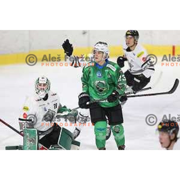 of SZ Olimpija in action during IceHL match between SZ Olimpija and Dornbirn in Ljubljana, Slovenia on December 4, 2021