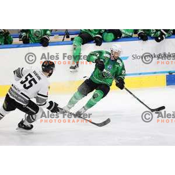 of SZ Olimpija in action during IceHL match between SZ Olimpija and Dornbirn in Ljubljana, Slovenia on December 4, 2021