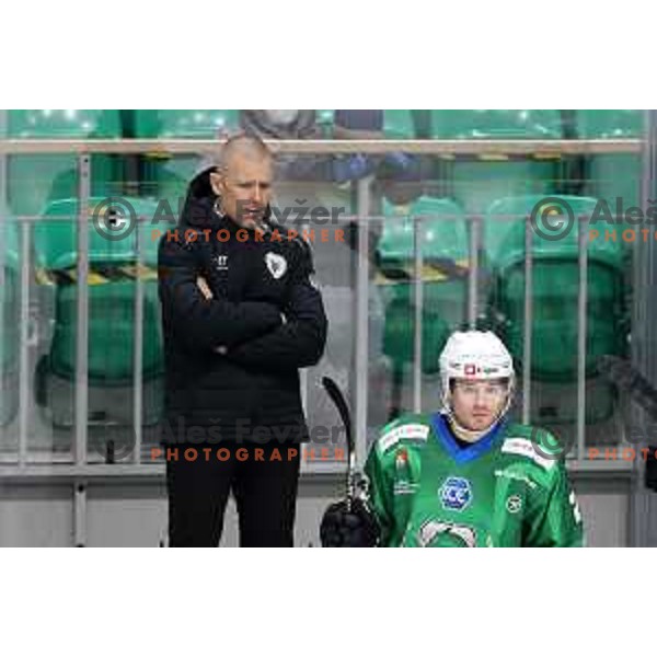 of SZ Olimpija in action during IceHL match between SZ Olimpija and Dornbirn in Ljubljana, Slovenia on December 4, 2021