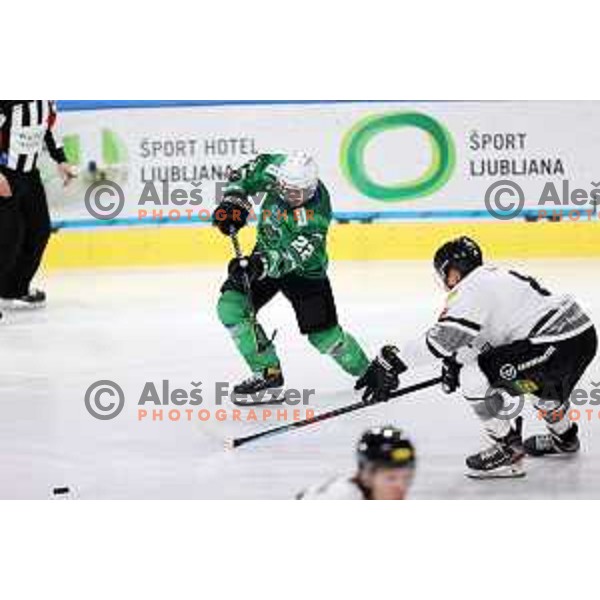 of SZ Olimpija in action during IceHL match between SZ Olimpija and Dornbirn in Ljubljana, Slovenia on December 4, 2021