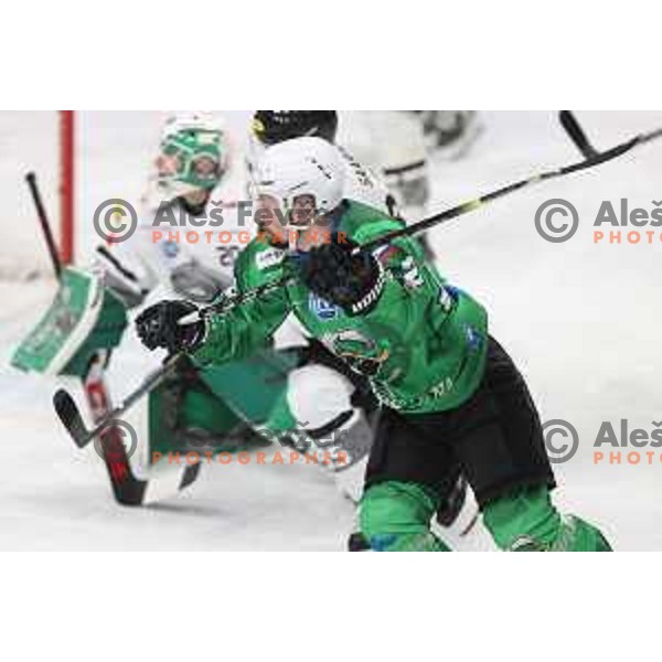 of SZ Olimpija in action during IceHL match between SZ Olimpija and Dornbirn in Ljubljana, Slovenia on December 4, 2021