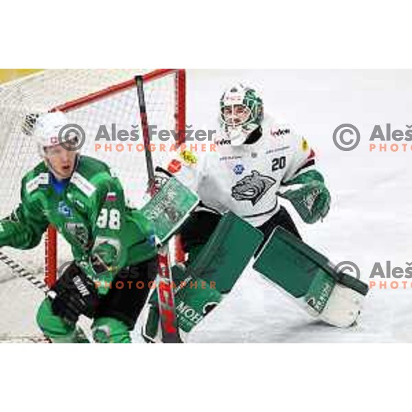 Felix Beck in action during IceHL match between SZ Olimpija and Dornbirn in Ljubljana, Slovenia on December 4, 2021