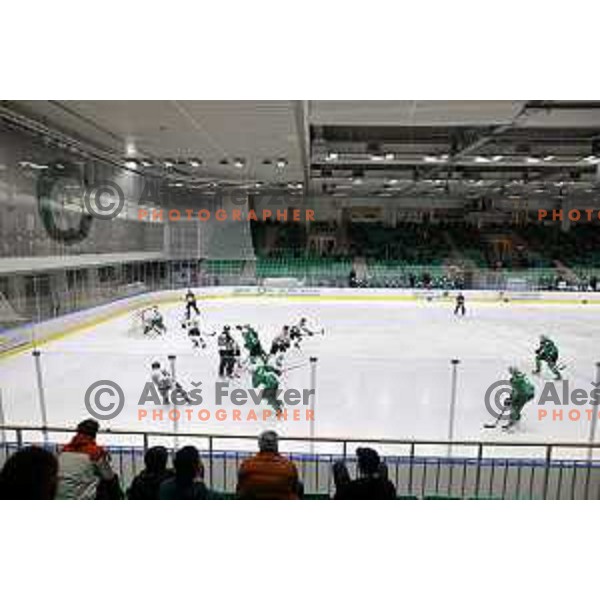 of SZ Olimpija in action during IceHL match between SZ Olimpija and Dornbirn in Ljubljana, Slovenia on December 4, 2021