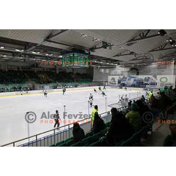 of SZ Olimpija in action during IceHL match between SZ Olimpija and Dornbirn in Ljubljana, Slovenia on December 4, 2021