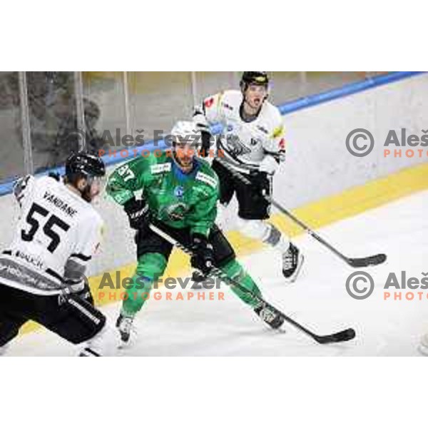 of SZ Olimpija in action during IceHL match between SZ Olimpija and Dornbirn in Ljubljana, Slovenia on December 4, 2021