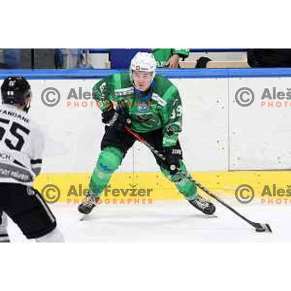 of SZ Olimpija in action during IceHL match between SZ Olimpija and Dornbirn in Ljubljana, Slovenia on December 4, 2021