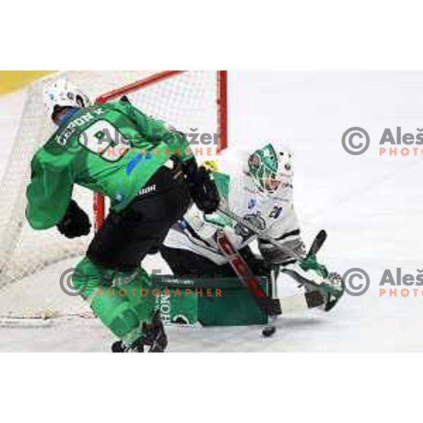 of SZ Olimpija in action during IceHL match between SZ Olimpija and Dornbirn in Ljubljana, Slovenia on December 4, 2021