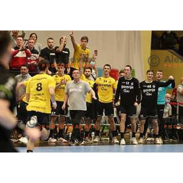 in action during 1.NLB league handball match between Gorenje Velenje and Celje Pivovarna Lasko in Velenje, Slovenia on December 4, 2021
