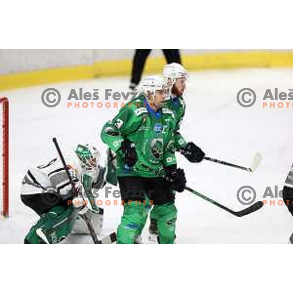 of SZ Olimpija in action during IceHL match between SZ Olimpija and Dornbirn in Ljubljana, Slovenia on December 4, 2021