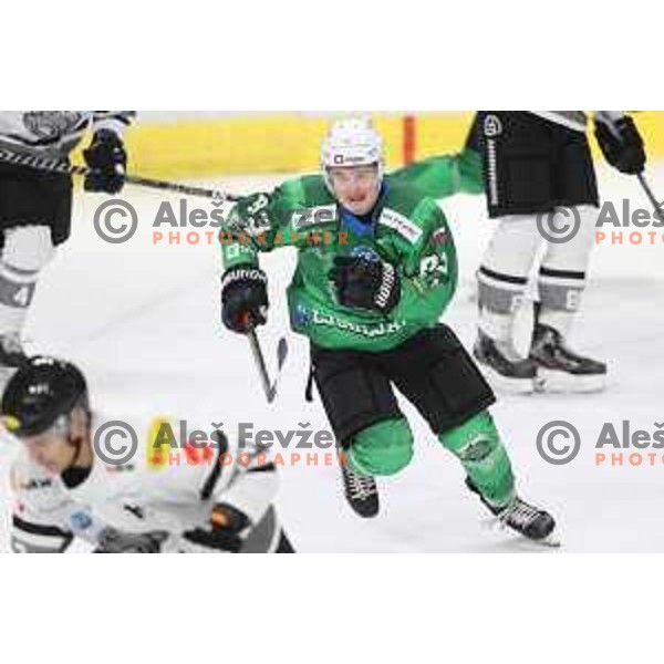 of SZ Olimpija in action during IceHL match between SZ Olimpija and Dornbirn in Ljubljana, Slovenia on December 4, 2021