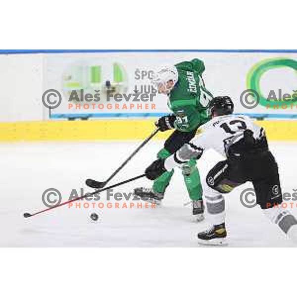 of SZ Olimpija in action during IceHL match between SZ Olimpija and Dornbirn in Ljubljana, Slovenia on December 4, 2021