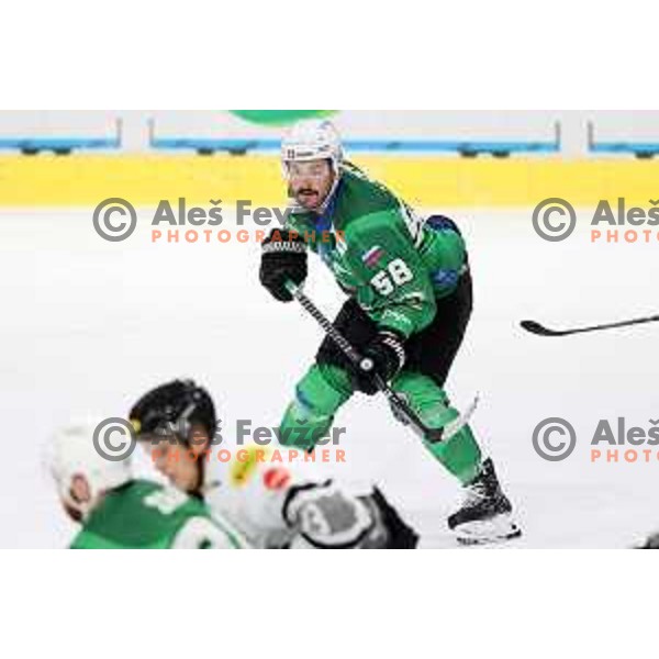 of SZ Olimpija in action during IceHL match between SZ Olimpija and Dornbirn in Ljubljana, Slovenia on December 4, 2021