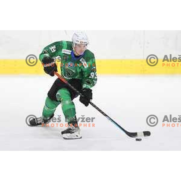 of SZ Olimpija in action during IceHL match between SZ Olimpija and Dornbirn in Ljubljana, Slovenia on December 4, 2021