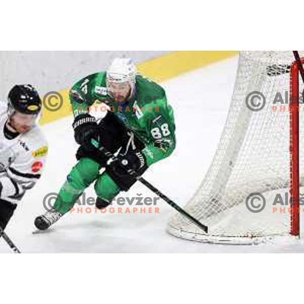 of SZ Olimpija in action during IceHL match between SZ Olimpija and Dornbirn in Ljubljana, Slovenia on December 4, 2021