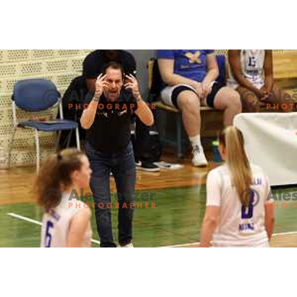 in action during 1.SKL Women basketball match between Triglav and Cinkarna Celje in Kranj, Slovenia on December 4, 2021