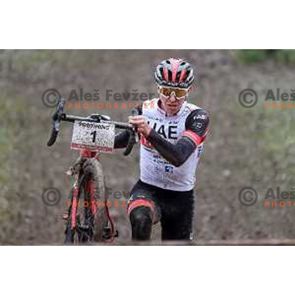 Tadej Pogacar, winner of Men\'s Elite race at Ciklokros Ljubljana 2021 at Hippodrome Stozice, Slovenia on December 26, 2021