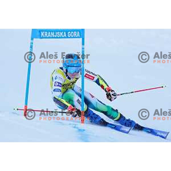 Meta Hrovat (SLO) skiing in the first run of AUDI FIS Ski World Cup Giant Slalom for 58.Golden Fox-Zlata Lisica 2022 in Kranjska gora, Slovenia on January 8, 2022 