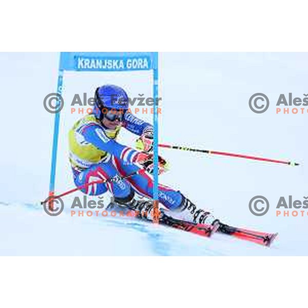 Skiing in the first run of AUDI FIS Ski World Cup Giant Slalom for 58.Golden Fox-Zlata Lisica 2022 in Kranjska gora, Slovenia on January 8, 2022