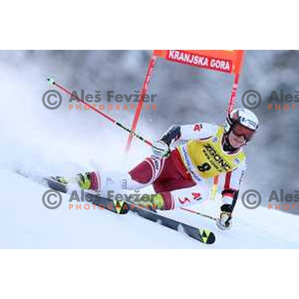 Skiing in the first run of AUDI FIS Ski World Cup Giant Slalom for 58.Golden Fox-Zlata Lisica 2022 in Kranjska gora, Slovenia on January 8, 2022