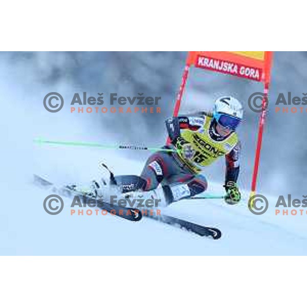 Skiing in the first run of AUDI FIS Ski World Cup Giant Slalom for 58.Golden Fox-Zlata Lisica 2022 in Kranjska gora, Slovenia on January 8, 2022