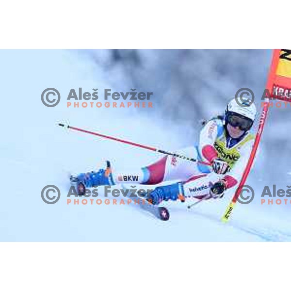 Skiing in the first run of AUDI FIS Ski World Cup Giant Slalom for 58.Golden Fox-Zlata Lisica 2022 in Kranjska gora, Slovenia on January 8, 2022