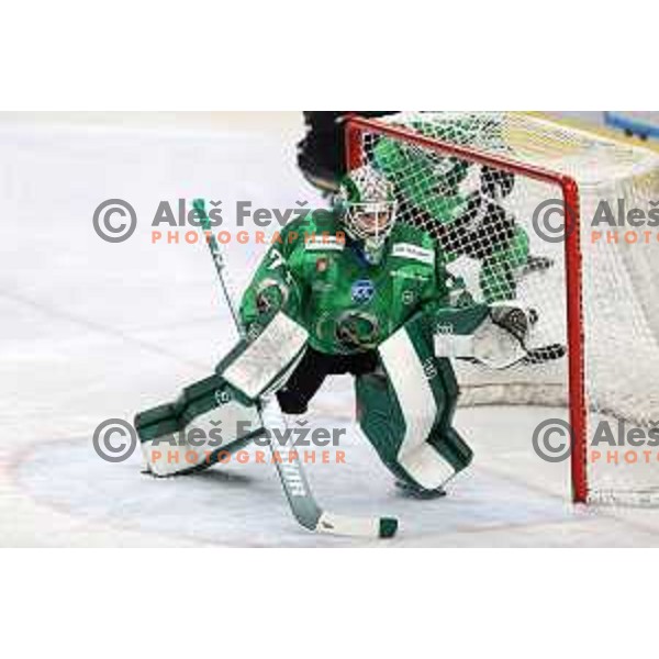 Paavo Holsa of SZ Olimpija in action during IceHL match between SZ Olimpija and Dornbirn Bulldogs in Ljubljana, Slovenia on January 15, 2022 