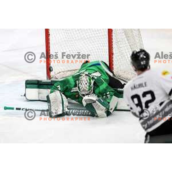 Dornbirn\'s Stefan Hausle scores goal past Paavo Holsa of SZ Olimpija in action during IceHL match between SZ Olimpija and Dornbirn Bulldogs in Ljubljana, Slovenia on January 15, 2022