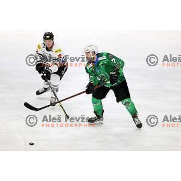 Rok Kapel of SZ Olimpija in action during IceHL match between SZ Olimpija and Dornbirn Bulldogs in Ljubljana, Slovenia on January 15, 2022 