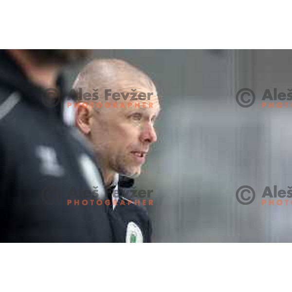 Mitja Sivic, head coach of SZ Olimpija in action during IceHL match between SZ Olimpija and Dornbirn Bulldogs in Ljubljana, Slovenia on January 15, 2022