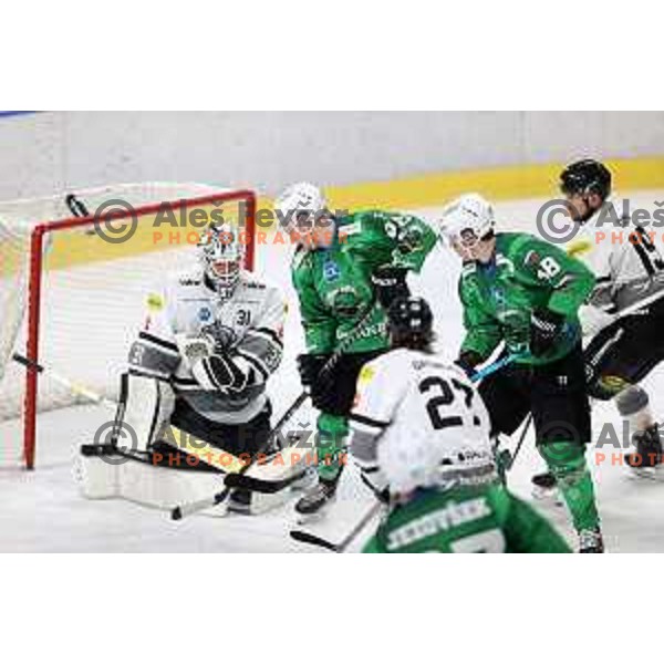 David Madlener and Blaz Tomazevic of SZ Olimpija in action during IceHL match between SZ Olimpija and Dornbirn Bulldogs in Ljubljana, Slovenia on January 15, 2022