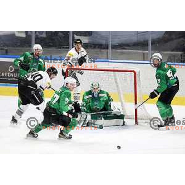 Paavo Holsa and Sebastien Piche of SZ Olimpija in action during IceHL match between SZ Olimpija and Dornbirn Bulldogs in Ljubljana, Slovenia on January 15, 2022
