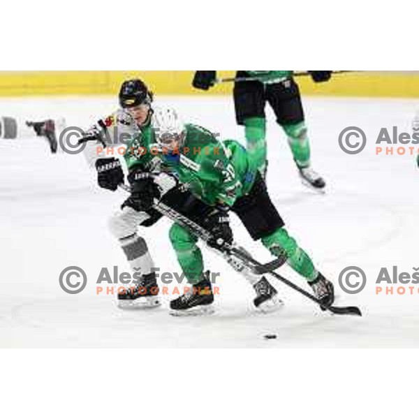 Gregor Koblar of SZ Olimpija in action during IceHL match between SZ Olimpija and Dornbirn Bulldogs in Ljubljana, Slovenia on January 15, 2022