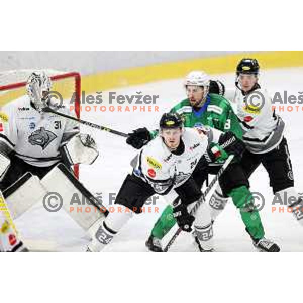 Daniel Wade Murphy of SZ Olimpija in action during IceHL match between SZ Olimpija and Dornbirn Bulldogs in Ljubljana, Slovenia on January 15, 2022