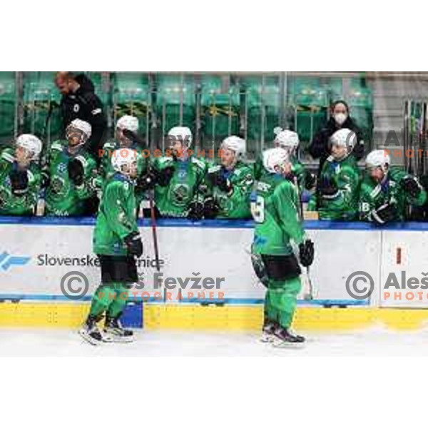 Rok Kapel and Daniel Wade Murphy of SZ Olimpija in action during IceHL match between SZ Olimpija and Dornbirn Bulldogs in Ljubljana, Slovenia on January 15, 2022