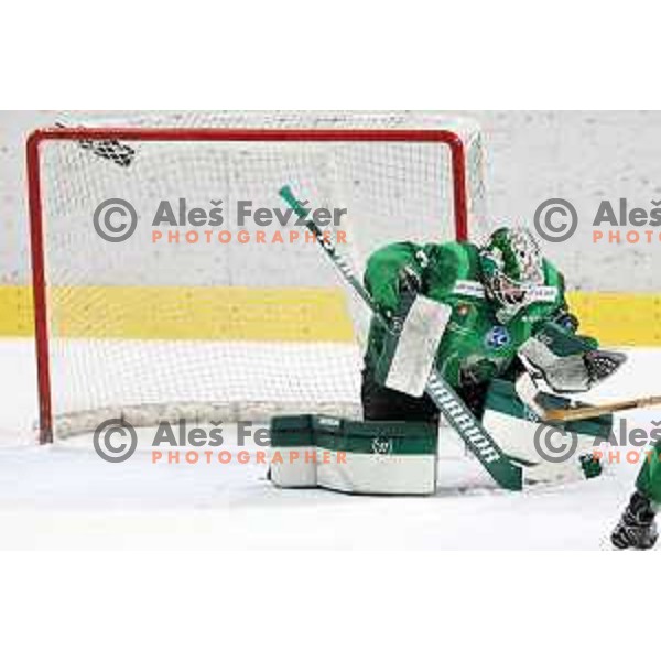 Paavo Holsa of SZ Olimpija in action during IceHL match between SZ Olimpija and Dornbirn Bulldogs in Ljubljana, Slovenia on January 15, 2022
