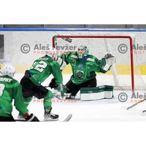 Paavo Holsa of SZ Olimpija in action during IceHL match between SZ Olimpija and Dornbirn Bulldogs in Ljubljana, Slovenia on January 15, 2022