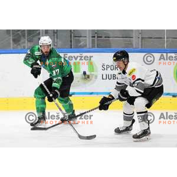 Zan Jezovsek of SZ Olimpija in action during IceHL match between SZ Olimpija and Dornbirn Bulldogs in Ljubljana, Slovenia on January 15, 2022