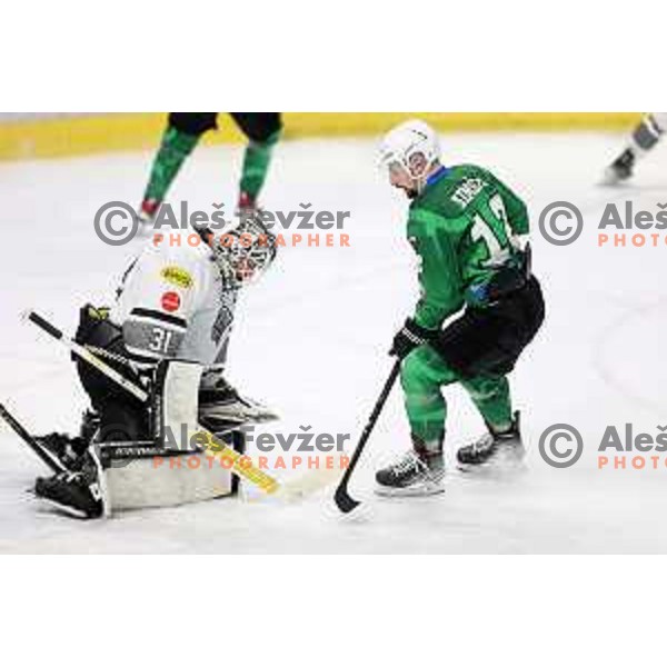 David Madlener and Nik Simsic of SZ Olimpija in action during IceHL match between SZ Olimpija and Dornbirn Bulldogs in Ljubljana, Slovenia on January 15, 2022