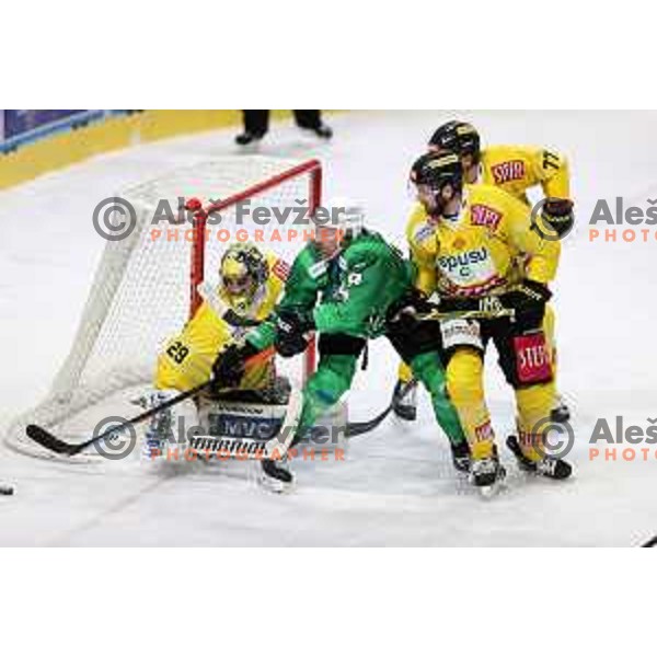 Anze Ropret of SZ Olimpija in action during IceHL match between SZ Olimpija and Vienna Capitals in Ljubljana, Slovenia on January 21, 2022