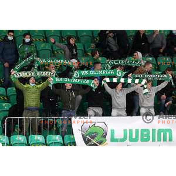Fans of SZ Olimpija in action during IceHL match between SZ Olimpija and Vienna Capitals in Ljubljana, Slovenia on January 21, 2022