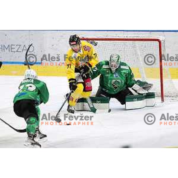 Paavo Holsa of SZ Olimpija in action during IceHL match between SZ Olimpija and Vienna Capitals in Ljubljana, Slovenia on January 21, 2022